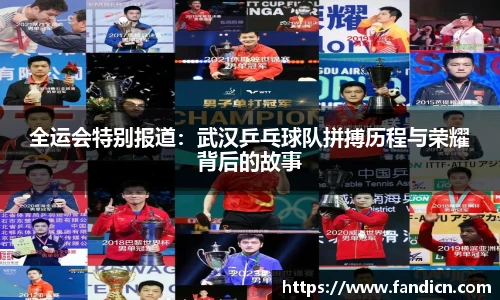 全运会特别报道：武汉乒乓球队拼搏历程与荣耀背后的故事