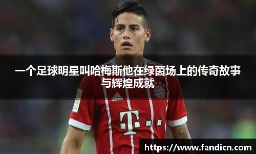 一个足球明星叫哈梅斯他在绿茵场上的传奇故事与辉煌成就